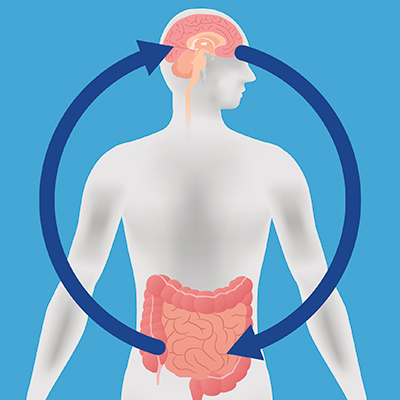 Gut Brain Axis